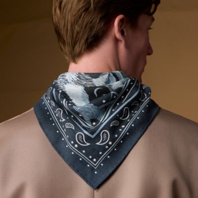65 scarves - Silk Scarves and Stoles for Men | Hermès Mainland China